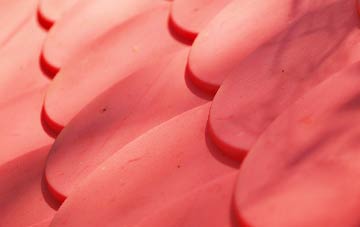 Hornsey Vale plastic roof costs